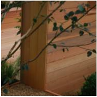 Western Red Cedar